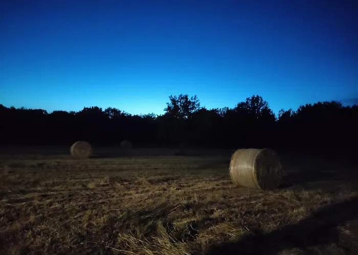 Colonica Il Picchio Verde